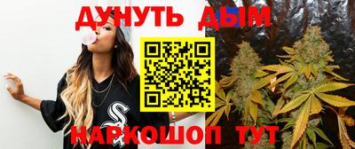 гашик Гусев