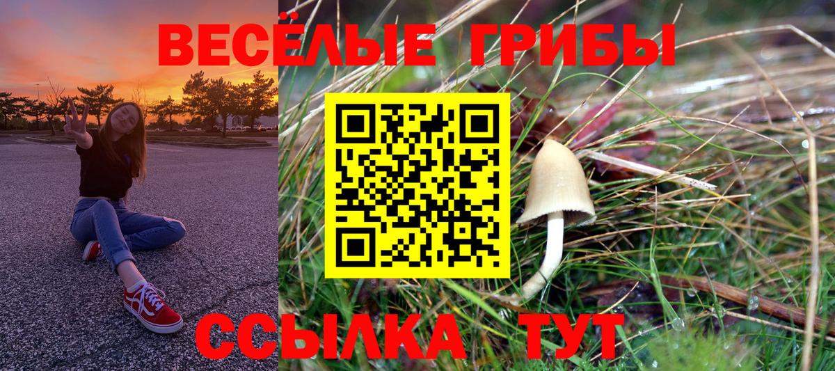 Елабуга  Галлюциногенные грибы Magic Shrooms  Вход с VPN 