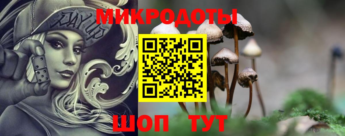 Галлюциногенные грибы Psilocybe Елабуга